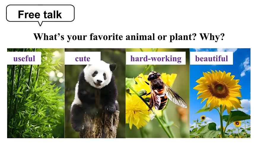 第1课时(Section A 1a-1d & Pronunication)第5页