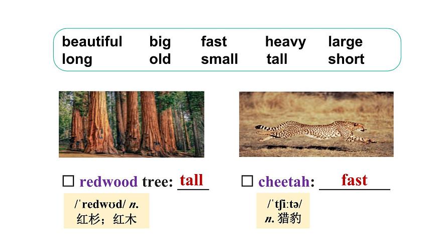 第1课时(Section A 1a-1d & Pronunication)第7页