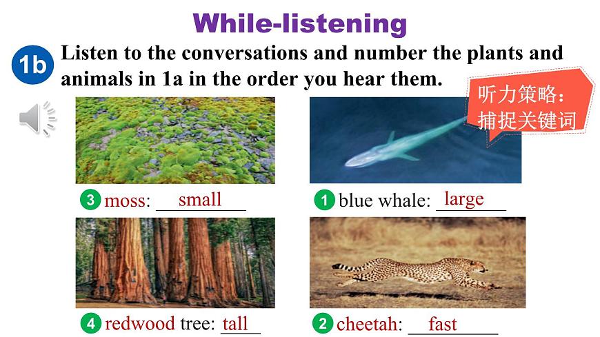 第1课时(Section A 1a-1d & Pronunication)第8页