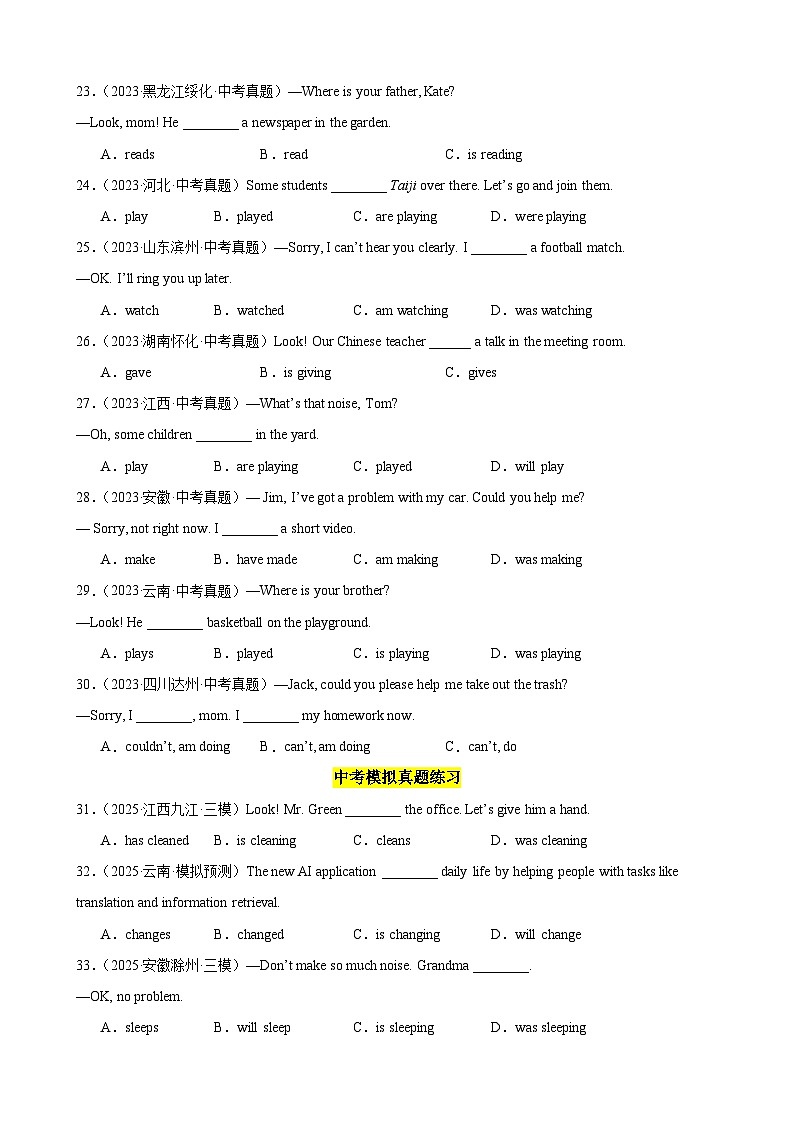 专题28 现在进行时100题（中考真题+中考模拟）（原卷版）第3页