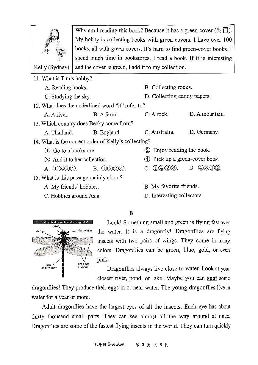 2024-2025学年深圳市龙岗区七年级上期末英语试卷含答案第3页