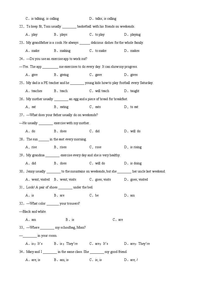 期中考前语法过关100题（原卷版）-2025-2026学年七年级英语上册单元模块满分必刷题（人教版2024）-A4第3页