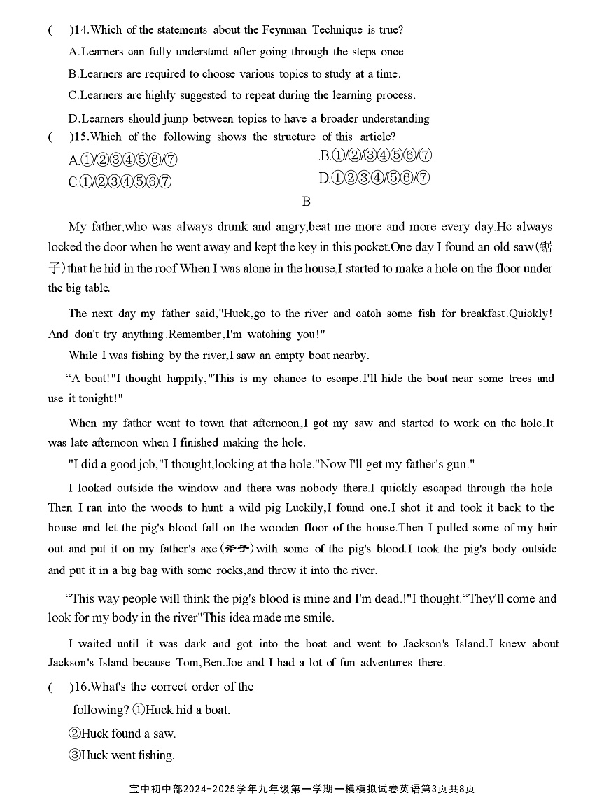 广东省深圳市宝安中学2024-2025学年九年级上学期期末模拟英语试卷 含答案第3页