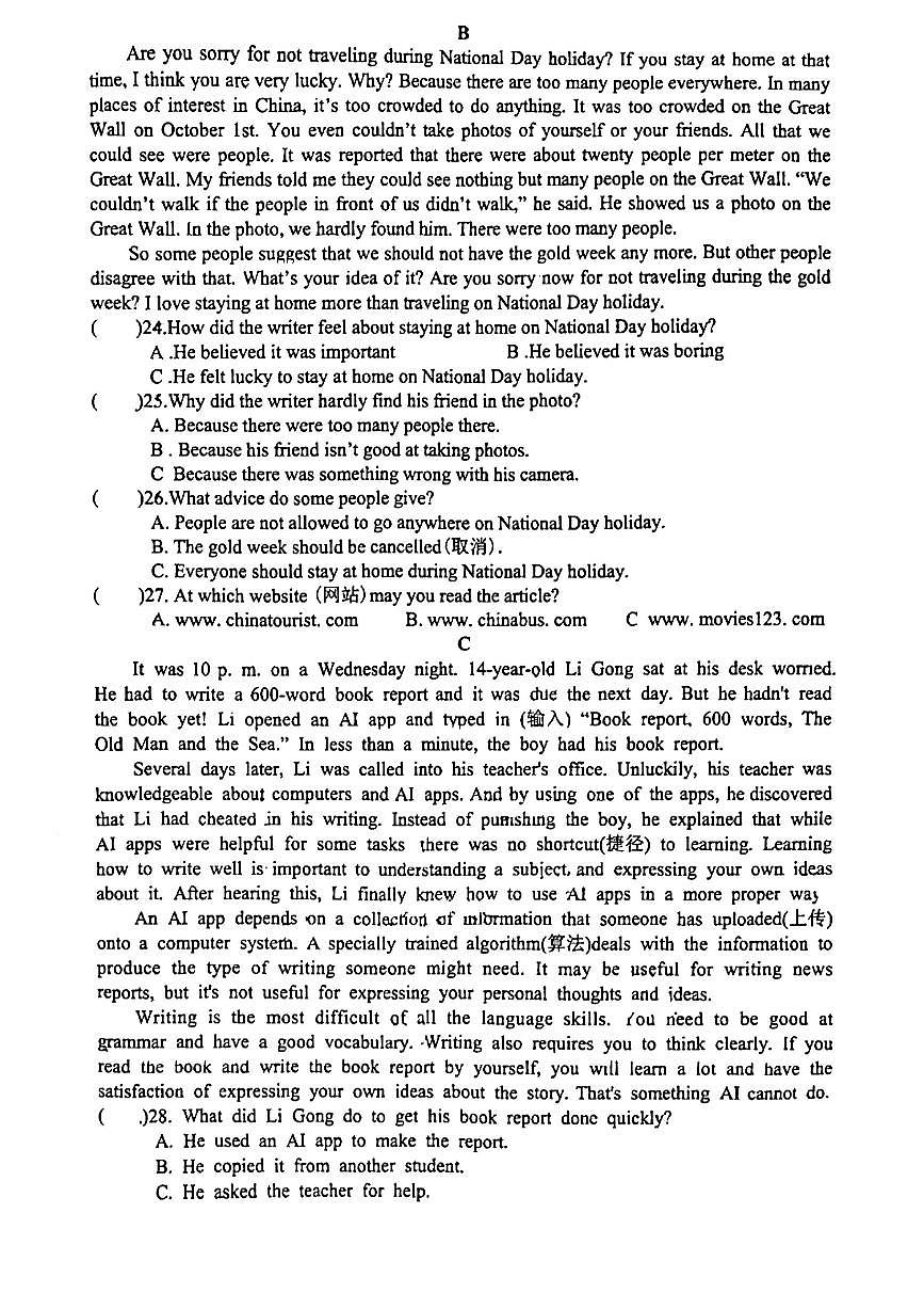 湖南省邵阳市洞口县2024-2025学年九年级上学期期中英语试题第3页