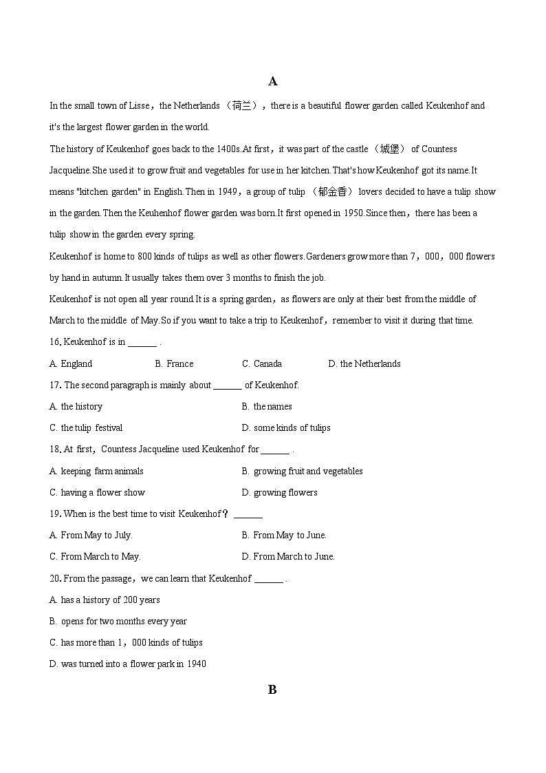 2025-2026学年山东省枣庄市山亭区八年级（上）月考英语试卷（10月份）-自定义类型第3页