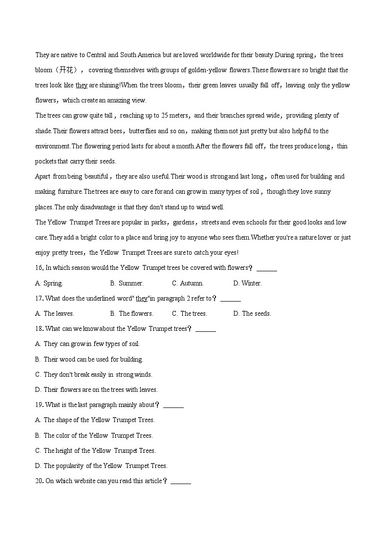 2025-2026学年广东省深圳实验学校初中部九年级（上）期中英语试卷-自定义类型第3页