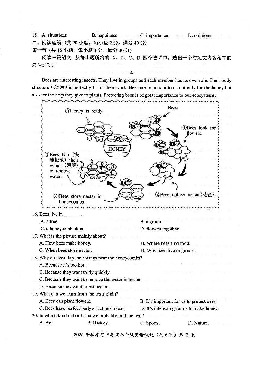 湖北省黄石市阳新县2025-2026学年八年级上学期11月期中英语试题第2页