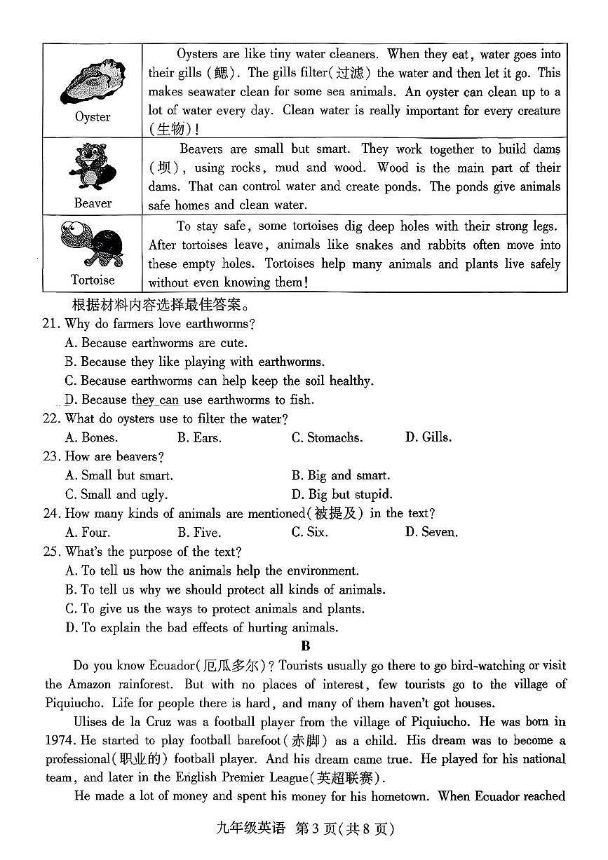 河南省新乡市原阳县2025-2026学年上学期九年级英语期中试卷第3页