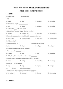 初中英语人教版（2024）七年级下册（2024）Unit 5 Here and Now测试题