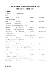 初中英语人教版（2024）七年级下册（2024）Unit 5 Here and Now测试题