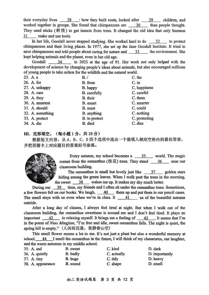 重庆市鲁能巴蜀中学校2025-2026学年八年级上学期11月期中英语试题第3页
