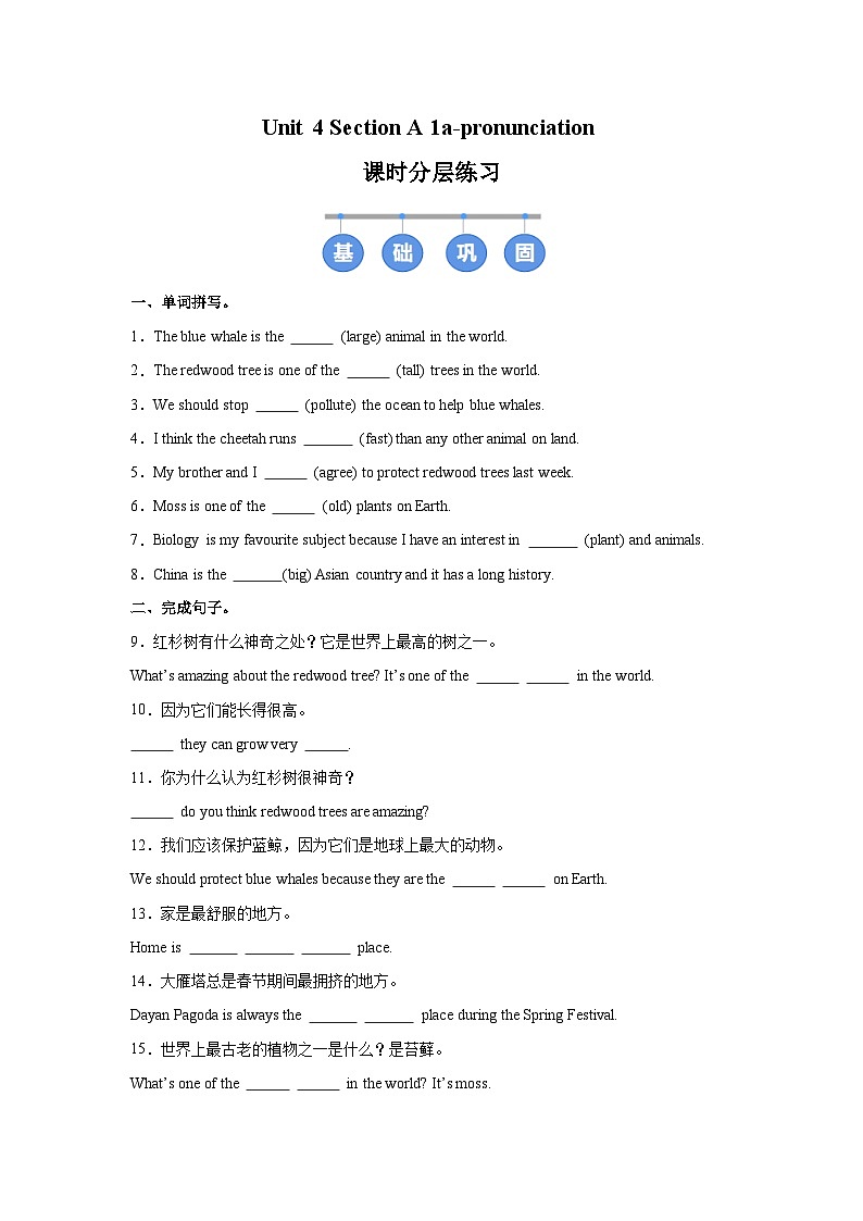 人教版 (2024) 初中英语八年级上册 Unit 4 Section A（1a-Pronunciation）同步课时分层练习第1页