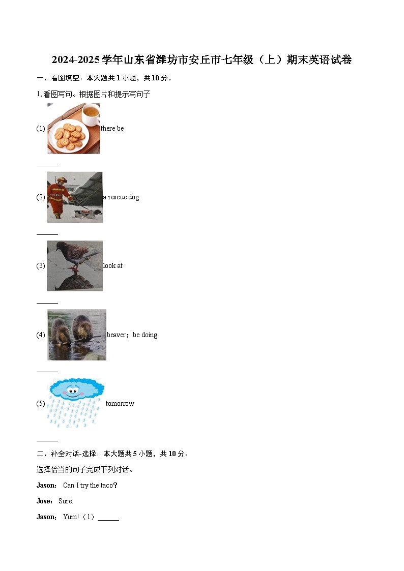 2024-2025学年山东省潍坊市安丘市七年级（上）期末英语试卷-自定义类型第1页