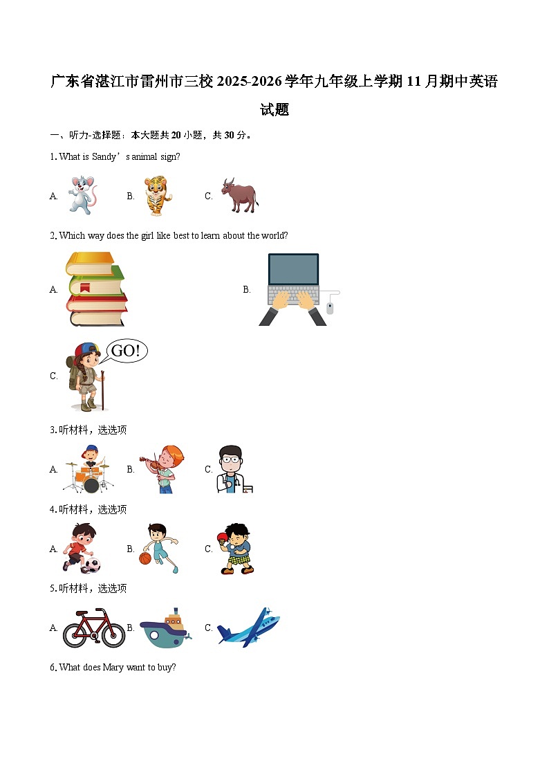 广东省湛江市雷州市三校2025-2026学年九年级上学期11月期中英语试题-自定义类型第1页