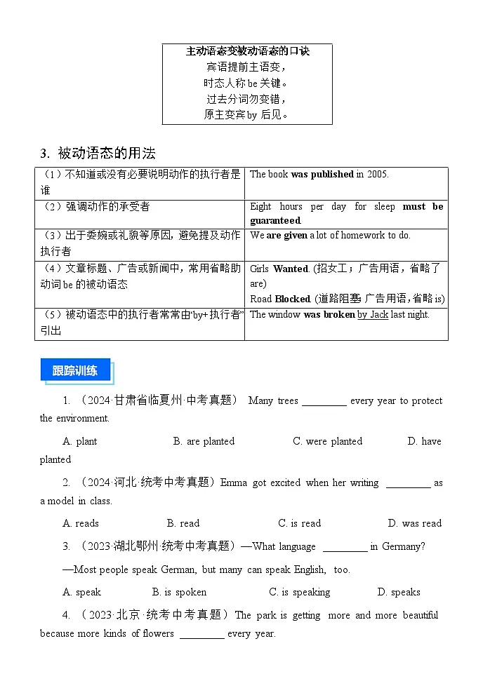 中考英语一轮复习——被动语态专题（学生讲义）第3页