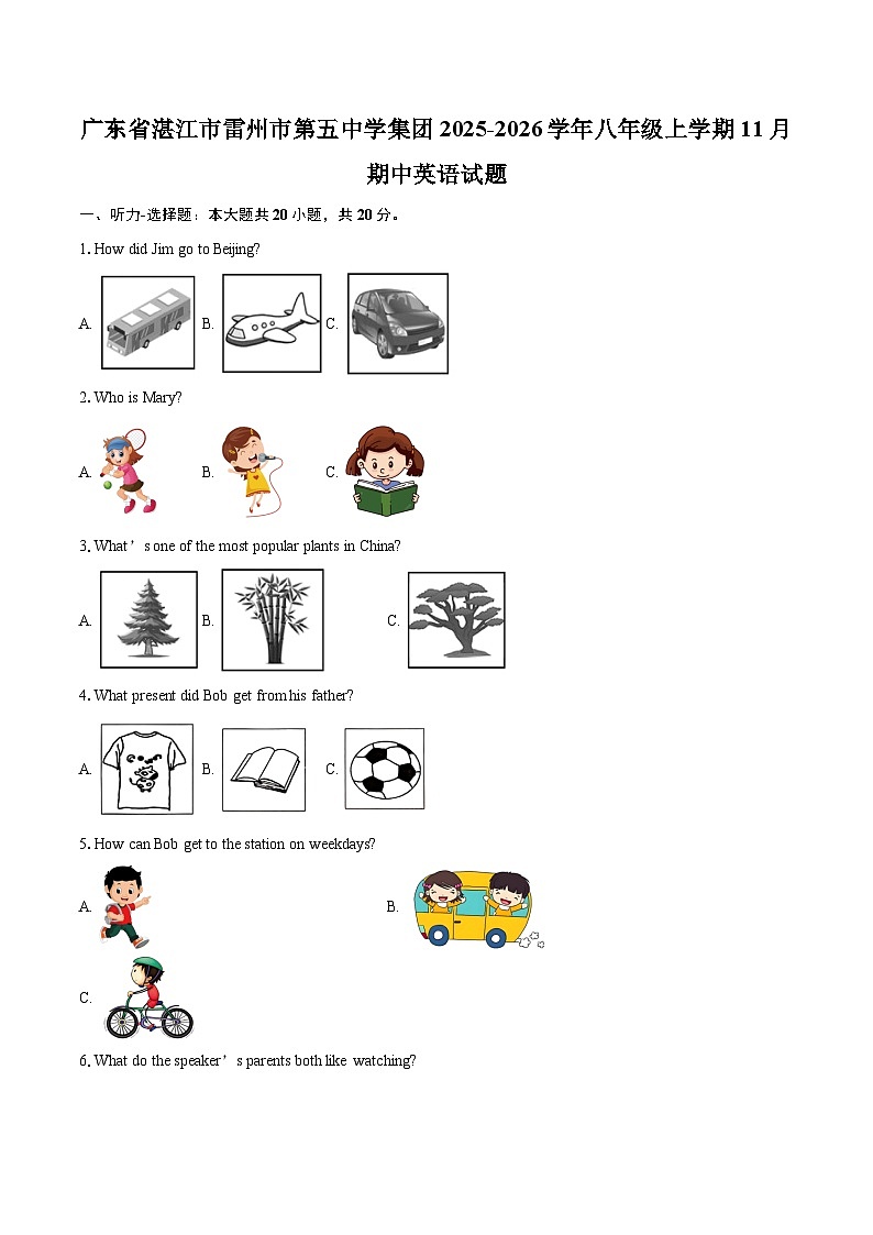 广东省湛江市雷州市第五中学集团2025-2026学年八年级上学期11月期中英语试题-自定义类型第1页