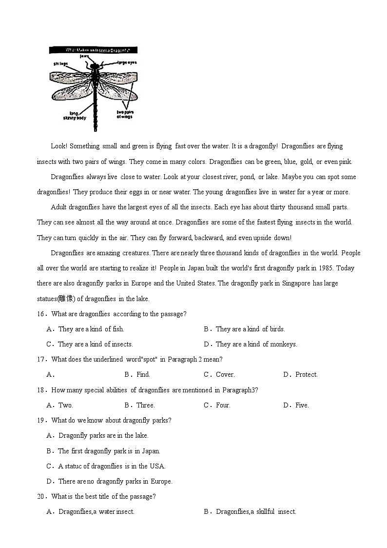 广东省深圳市龙岗区2025年七年级上学期期末考试英语题附答案第3页