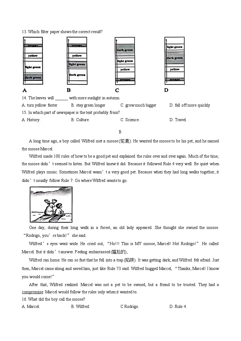广东省深圳市福田区2025_2026学年七年级上学期1月期末考试英语试卷（文字版，含答案）第3页