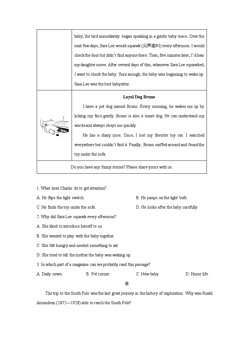 浙江省嘉兴市桐乡市2025-2026学年九年级上学期期末英语试题（含答案，无听力原文及音频）第3页