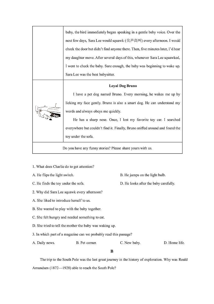 浙江省嘉兴市桐乡市2025-2026学年九年级上学期期末英语试题含答案第3页
