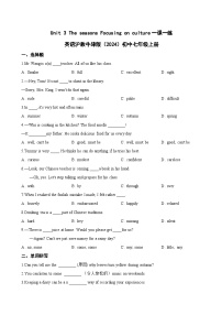 初中英语沪教牛津版（2024）七年级上册（2024）Focusing on culture课后练习题