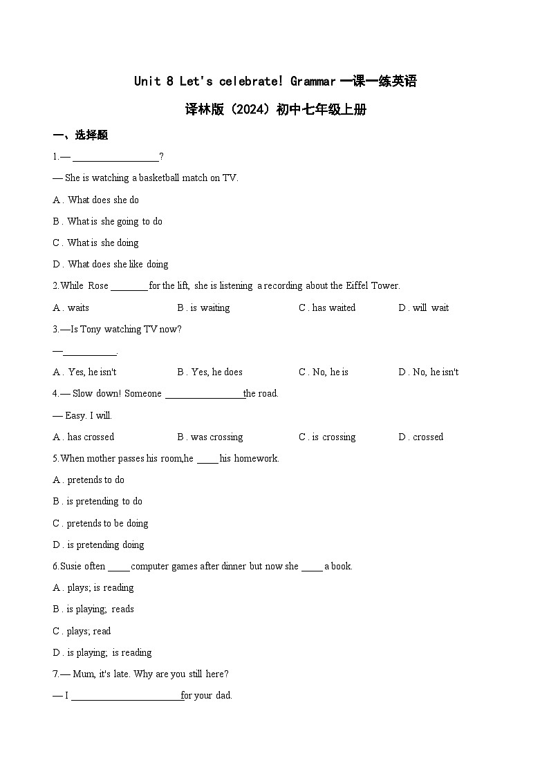 Unit 8 Let's celebrate! Grammar一课一练英语译林版（2024）初中七年级上册(无答案)第1页