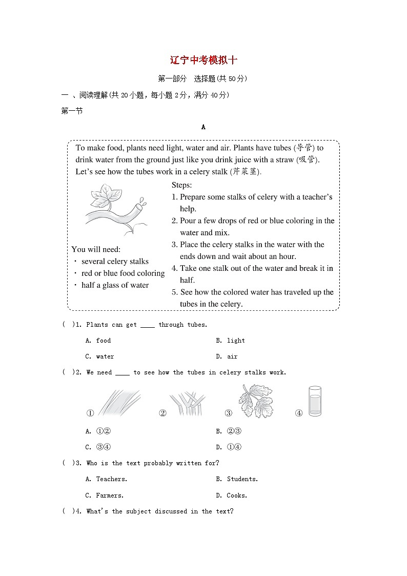 辽宁省2025中考英语模拟十人教新目标版第1页