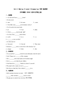 沪外教版（2024）七年级上册（2024）C Grammaring随堂练习题
