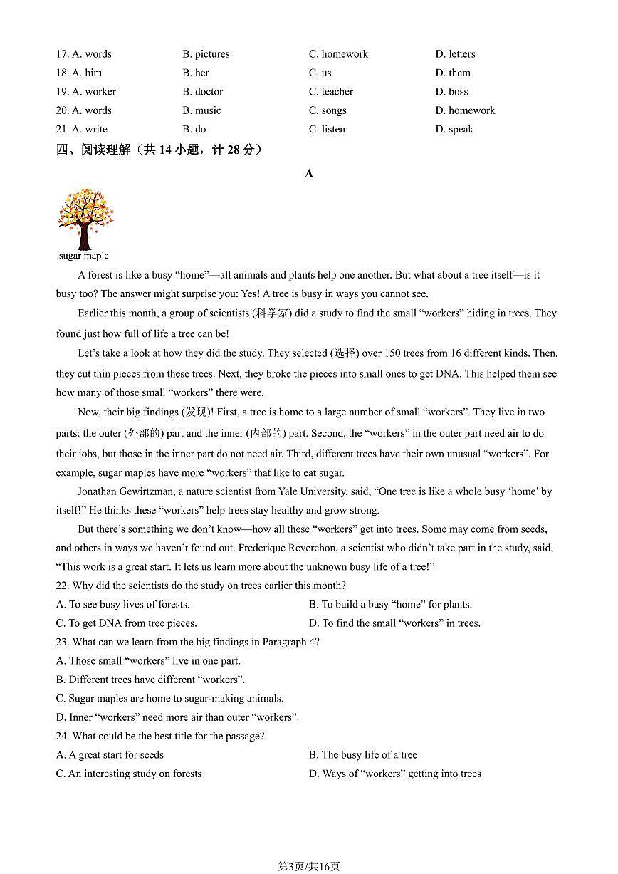 2026北京通州初一（上）期末英语试卷有答案第3页