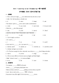 沪外教版(2024)七年级下册(2024)C Grammaring当堂达标检测题