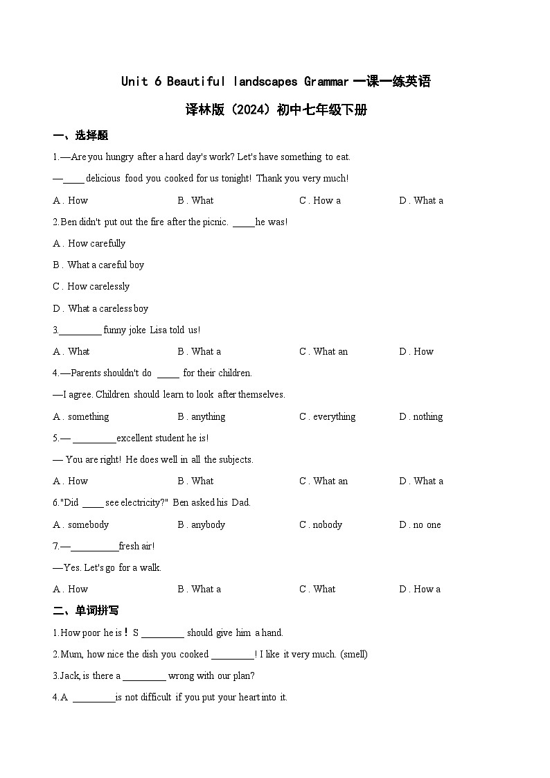 Unit 6 Beautiful landscapes Grammar一课一练英语译林版（2024）初中七年级下册(无答案)第1页