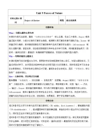 初中英语仁爱科普版(2024)八年级下册(2024)Project表格教学设计
