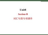 Unit8__SectionB__词汇句型专项课件