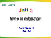 人教版新目标八年级下册英语Unit 5 What were you doing when the rainstorm came  Section A (2a-2d)课件（46页ppt)+音频