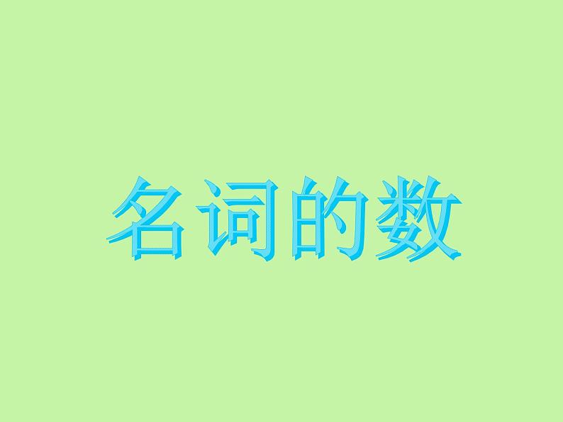 中考英语语法大全——名词（共24张PPT）04