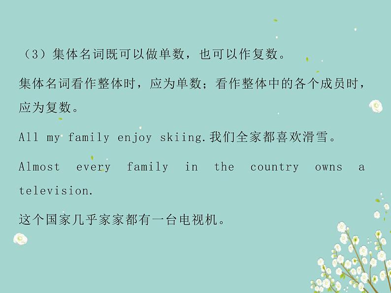 初中英语语法全解课件——名词08