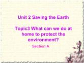Unit 2 Saving the Earth Topic 3 Section A 课件