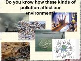 Unit 2 Saving the Earth Topic 3 Section A 课件