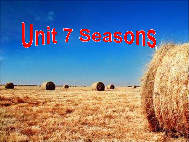 牛津译林英语 八年级上册 Unit7 Seasons Grammar 课件02