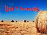 牛津译林英语 八年级上册 Unit7 Seasons Grammar 课件