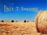 牛津译林英语 八年级上册 Unit7 Seasons Welcome to the unit 课件