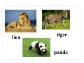 Unit 5 Why do you like pandas? Section A（1a-2d）课件