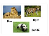 Unit 5 Why do you like pandas? Section A（1a-2d）课件