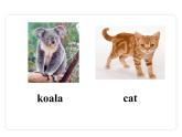 Unit 5 Why do you like pandas? Section A（1a-2d）课件
