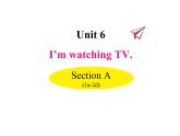 Unit 6 I’m watching TV Section A（1a-2d）课件
