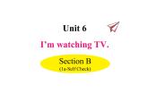 Unit 6 I’m watching TV Unit 6 Section B（a-Self Check） 课件