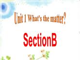 人教八年级下册 Unit 1 What's the matter SectionB 复习课件