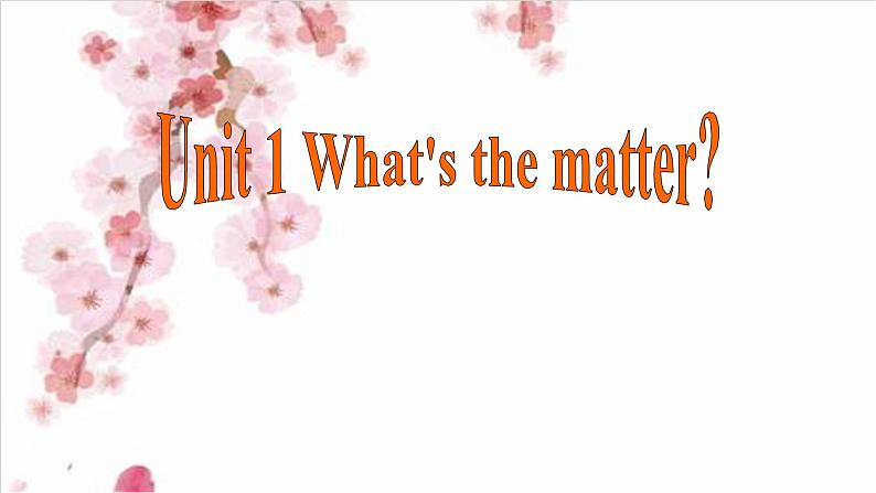 八年级英语 Unit 1 What 's the matter SectionA  复习课件第1页