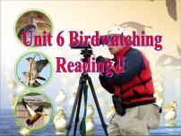 初中英语Unit 6 Bird watching教课ppt课件