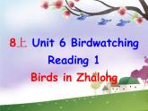 牛津譯林英語八年級上冊 unit6 Reading 1 課件